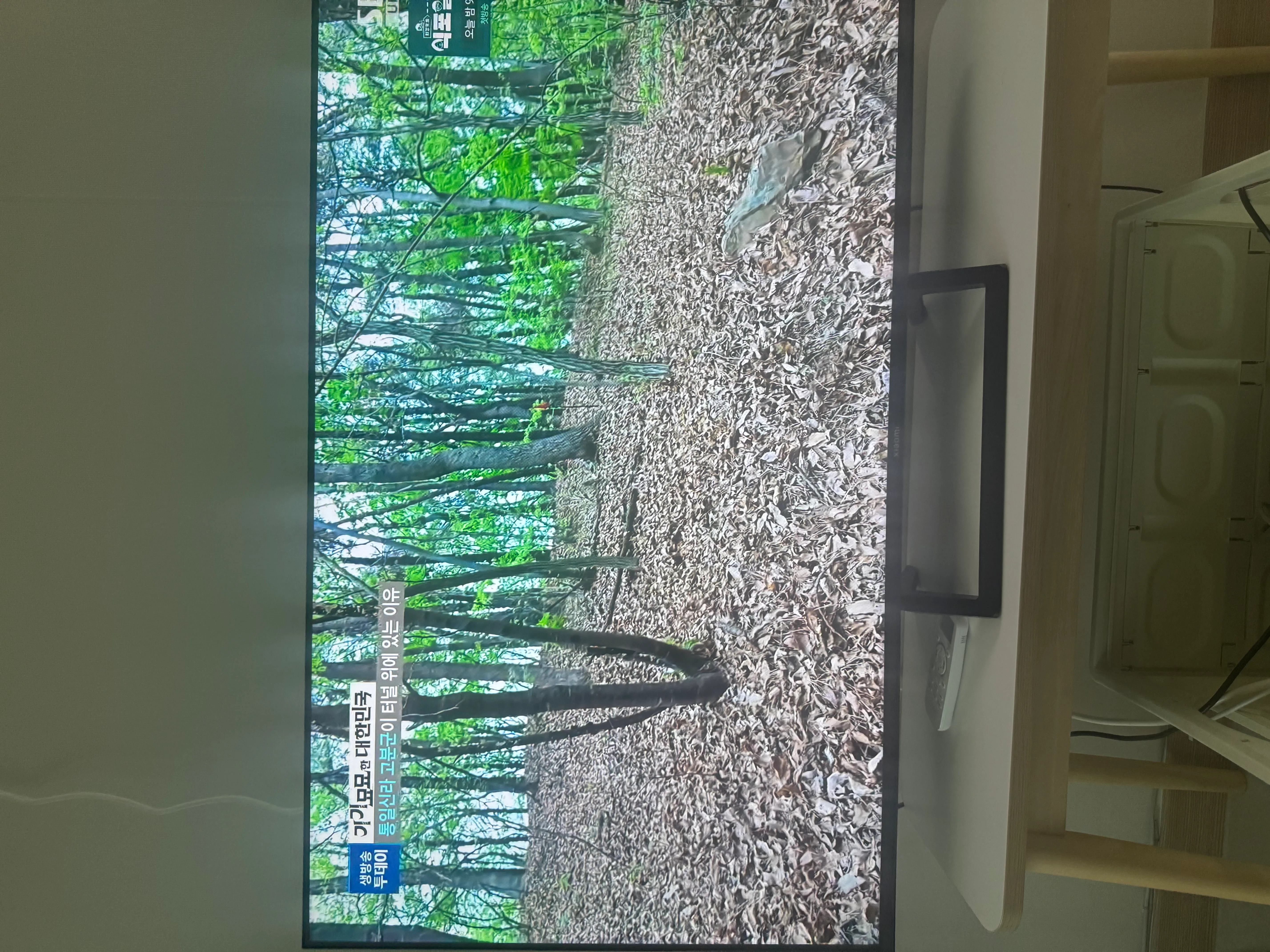 KT스카이라이프 속도짱! 후기 게시글 이미지 3/3