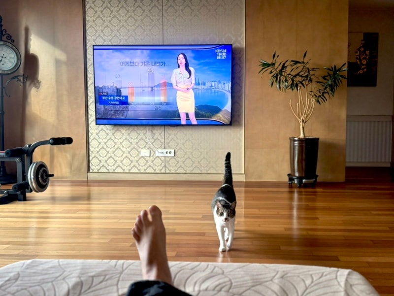 오류동 신혼집 인터넷 바꿨어요