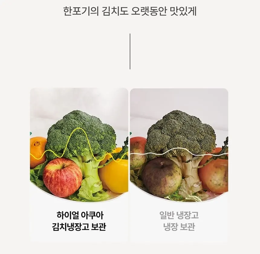 하이얼 글램글라스 슬림 스탠드형 1도어 김치냉장고 80L 글램화이트 상세 18