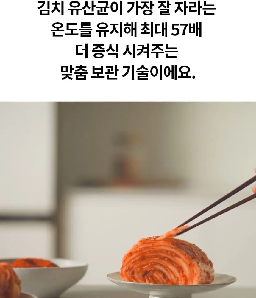LG 디오스 김치냉장고 뚜껑형 128L 상세 11