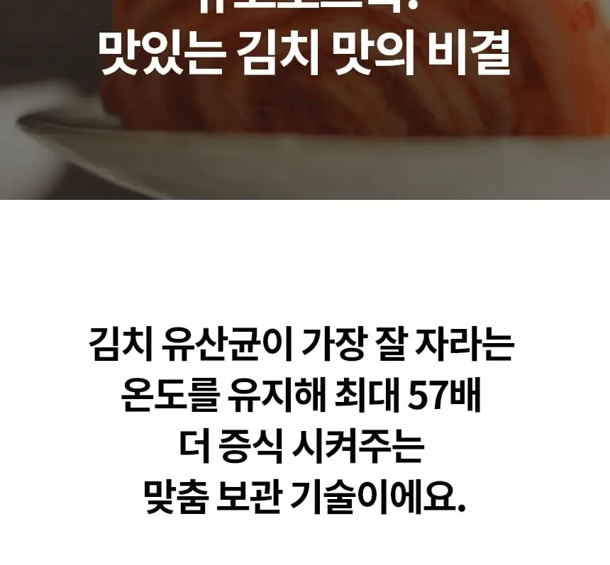 LG 디오스 오브제컬렉션 김치냉장고 217L 상세 12
