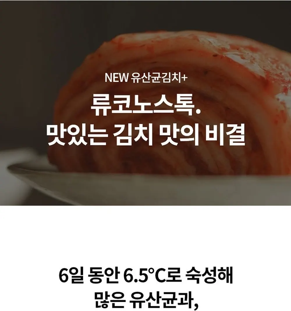 LG 디오스 오브제컬렉션 김치톡톡 김치냉장고 480L 상세 29